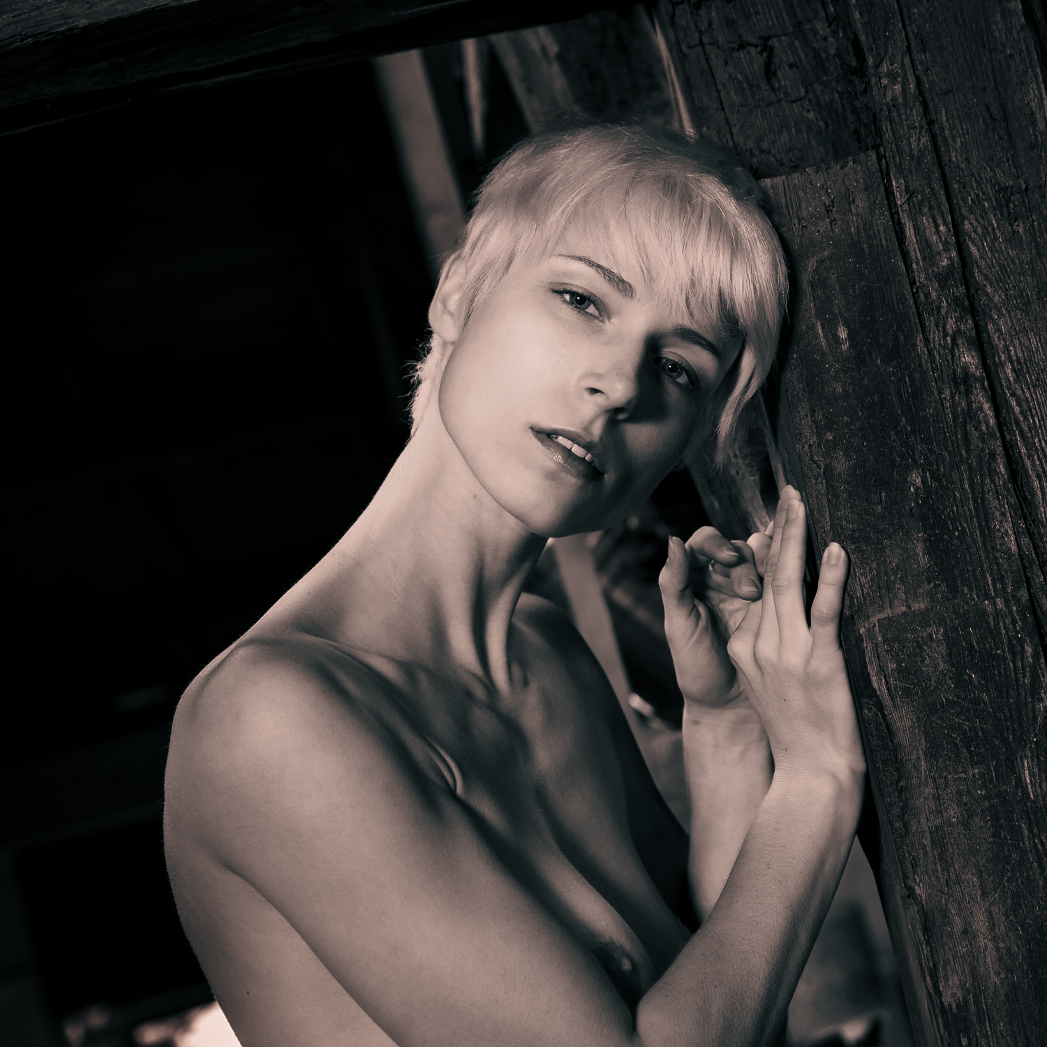 Akt in der Scheune 4771